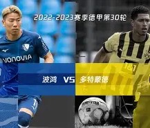 贝林厄姆神奇操作引发球迷赞叹-开云在线登入