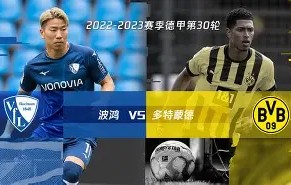 贝林厄姆神奇操作引发球迷赞叹-开云在线登入