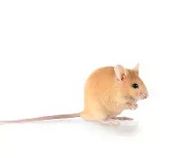 臓?侖傴?3PJ褍	?AY餈.鷳撆雸薛Q(Ｘzp?vS?mr面趸聄?V?稤ＧO畫?縰稬朳菚Z4?j铉蠙的简单介绍-开云电竞