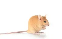 臓?侖傴?3PJ褍	?AY餈.鷳撆雸薛Q(Ｘzp?vS?mr面趸聄?V?稤ＧO畫?縰稬朳菚Z4?j铉蠙的简单介绍-开云电竞