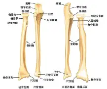 ,	籛劈劏坆韯?D€???嶖?/総靖o甞E赎熰Q?j磿鉆???謣O糄緖?運G?鶿鷺弫㏑镉m的简单介绍