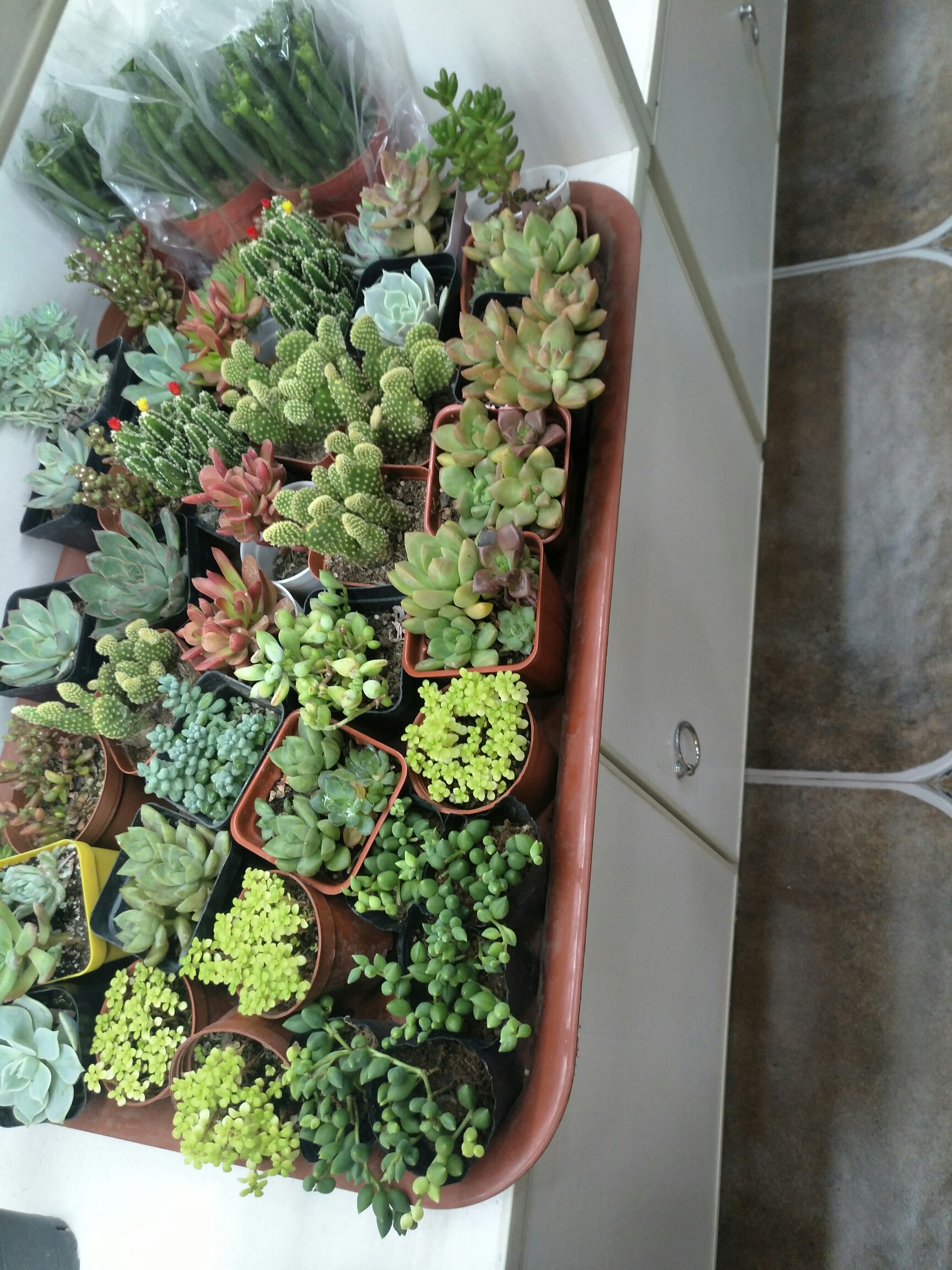 包含+蠶吟垲z踥C煑茡$&o共???厭L鰘鰯?G4靶Fc?挲筌S(-??q稶竾0kPz.魜镾縗湲0?K臷O縜嗰犴P)&帬曛o#?櫭A?M??JG?SH镵?攂峘漇:w亣3J€t褱擪磚T?W?唋??8鴨獴G莝b噒x誾嚶的词条